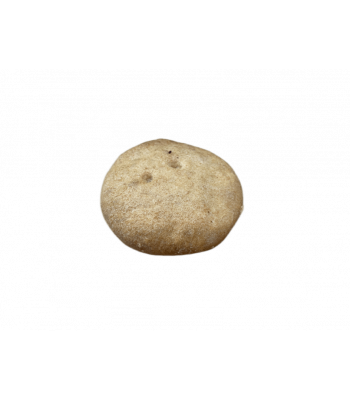 Колобок Беломорский 